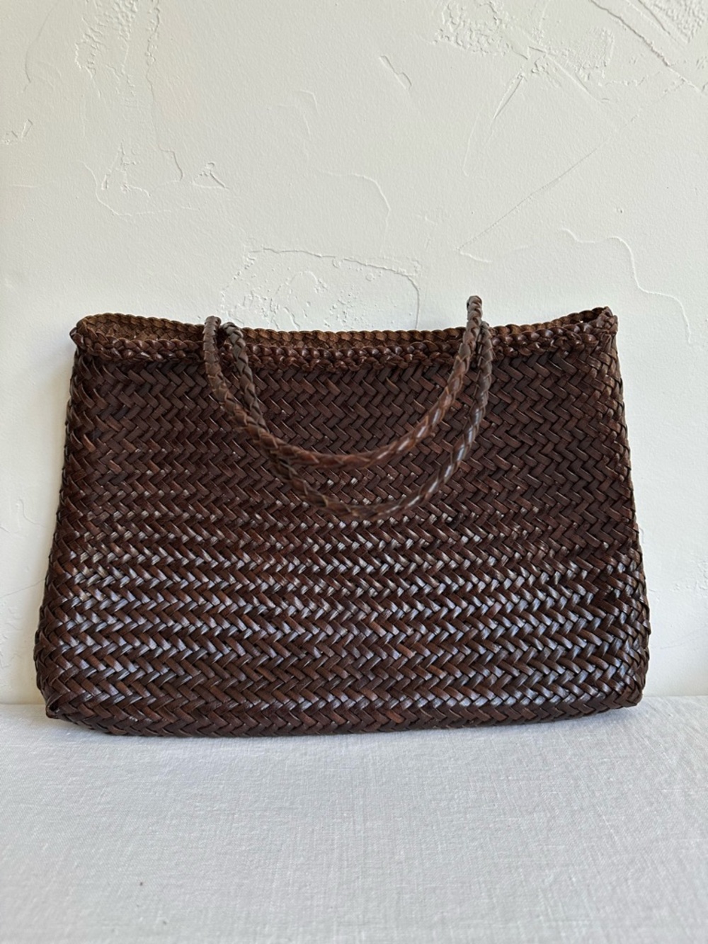 Woven Handheld Dragon Diffusion Tote Bag in Dark Brown
